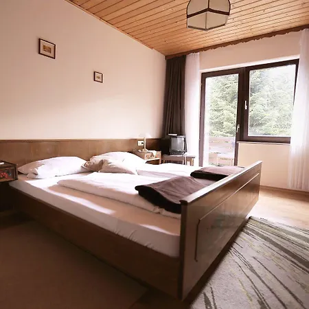 Hotel Rennsteig Steinbach am Wald
