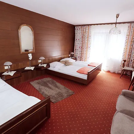 Hotel Rennsteig Steinbach am Wald